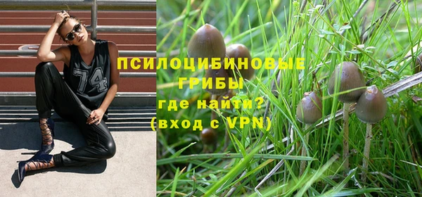 бутират Алзамай