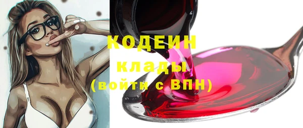 прущие грибы Алексин