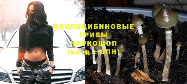 бутират Алзамай