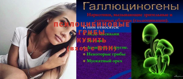 ПСИЛОЦИБИНОВЫЕ ГРИБЫ Абинск